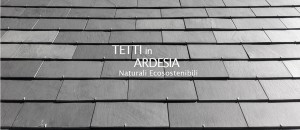 Tetti_in Ardesia